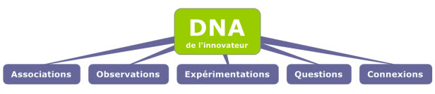 DNA de l'innovateur (de rupture)