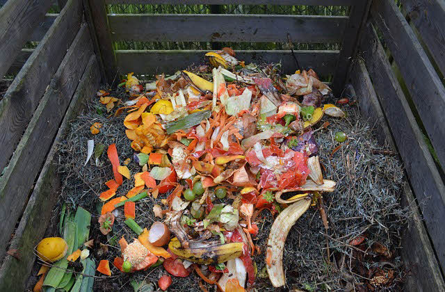 p22-dechets-compost